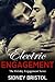 Electric Engagement (Holiday Engagement, #2)