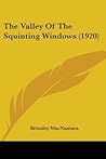 The Valley of the Squinting Windows by Brinsley MacNamara