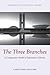 THREE BRANCHES OCON P: A Comparative Model of Separation of Powers (Oxford Constitutional Theory)