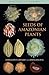 Seeds of Amazonian Plants