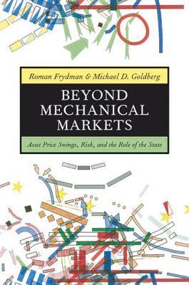 Beyond Mechanical Markets: Asset Price Swings, Risk, and the Role of the State