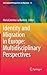 Identity and Migration in Europe: Multidisciplinary Perspectives (International Perspectives on Migration, 13)