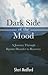 Dark Side of the Mood: A Journey through Bipolar Disorder to Recovery