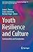 Youth Resilience and Culture: Commonalities and Complexities (Cross-Cultural Advancements in Positive Psychology, 11)