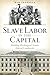Slave Labor in the Capital: Building Washington's Iconic Federal Landmarks