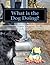 What is the Dog Doing?: Present Tense Singular Verbs