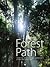 Forest Path
