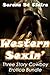 Western Sexin' Cowboy 3 Story Bundle