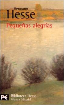Pequeñas alegrías (Paperback)