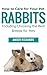 How to Care for Your Pet Rabbits: Including Choosing the Best Breeds for Pets