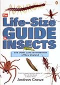 The Life-Size Guide to Insects