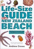 The Life-Size Guide to the New Zealand Beach