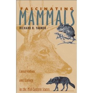 Fascinating Mammals