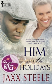 Him for the Holidays (Kindle Edition)