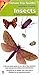 Nature Flip Guide to Insects