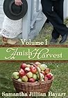 Amish Harvest 1