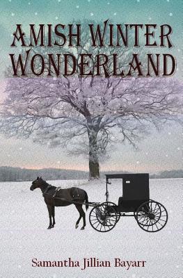 Amish Winter Wonderland (Amish Daughters #2)