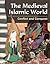 The Medieval Islamic World