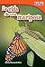 La vida de una mariposa (A ...