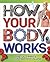 How Your Body Works by Thomas Canavan