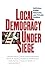Local Democracy Under Siege: Activism, Public Interests, and Private Politics