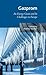 Gazprom: An Energy Giant and Its Challenges in Europe