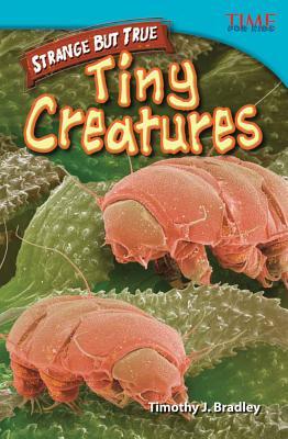 Strange but True: Tiny Creatures: Tiny Creatures (Paperback)