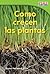 Como crecen las plantas (How Plants Grow) (Spanish Version)