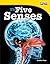 The Five Senses