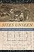 Sites Unseen: Architecture, Race, and American Literature (America and the Long 19th Century, 23)