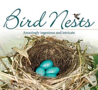 Bird Nests: Amazingly Ingenious and Intricate (Paperback)