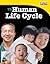 The Human Life Cycle
