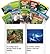 Animals and Insects Set