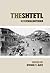 THE SHTETL (The hebrew bible by Steven T. Katz