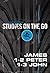James, 1-2 Peter, and 1-3 John by David Olshine