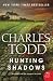 Hunting Shadows (Inspector Ian Rutledge, #16)
