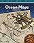 Ocean Maps
