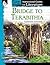 Bridge to Terabithia: An Instructional Guide for Literature - Novel Study Guide for 4th-8th Grade Literature with Close Reading and Writing Activities (Great Works Classroom Resource)