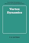 Vortex Dynamics