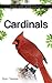 Cardinals (Backyard Bird Feeding Guides)