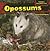 Opossums (Scavengers: Eating Nature's Trash)