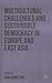 Multicultural Challenges and Sustainable Democracy in Europe and East Asia