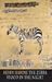The Zebra Stood in the Night