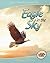 Eagle in the Sky by Ryan Jacobson