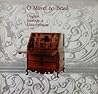 O móvel no Brasil : origens, evolução e características