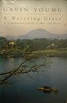 A Wavering Grace : A Vietnamese Family in War and Peace