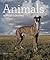 Animals in Photographs