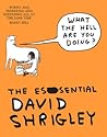What The Hell Are You Doing? by David Shrigley What The Hell Are You Doing? by David Shrigley