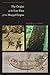 The Origins of the Lost Fleet of the Mongol Empire (Ed Rachal Foundation Nautical Archaeology Series)
