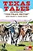 Texas Tales Illustrated #2:...